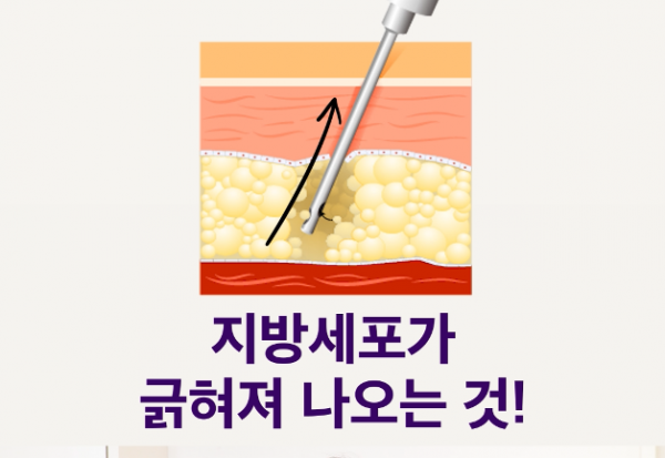 dfa7180699ac55c2c1e67b58e3dd8302_1786676261_9307.png