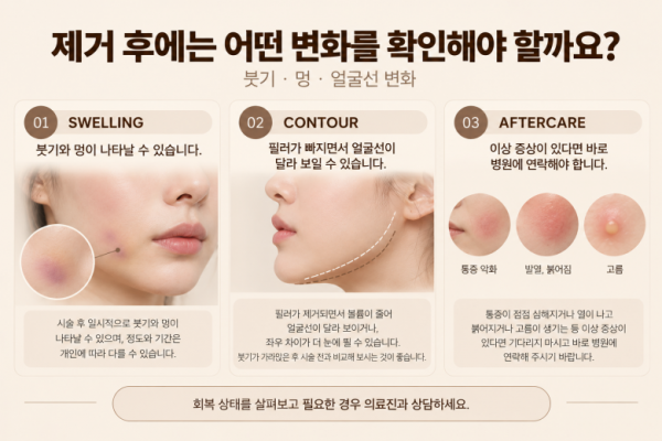 91b36d02a82a0d269ccebf7e275374d5_1792137516_8428.png